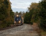 MEC 307 Leads L077-18 at Webster Rd. in Freeport